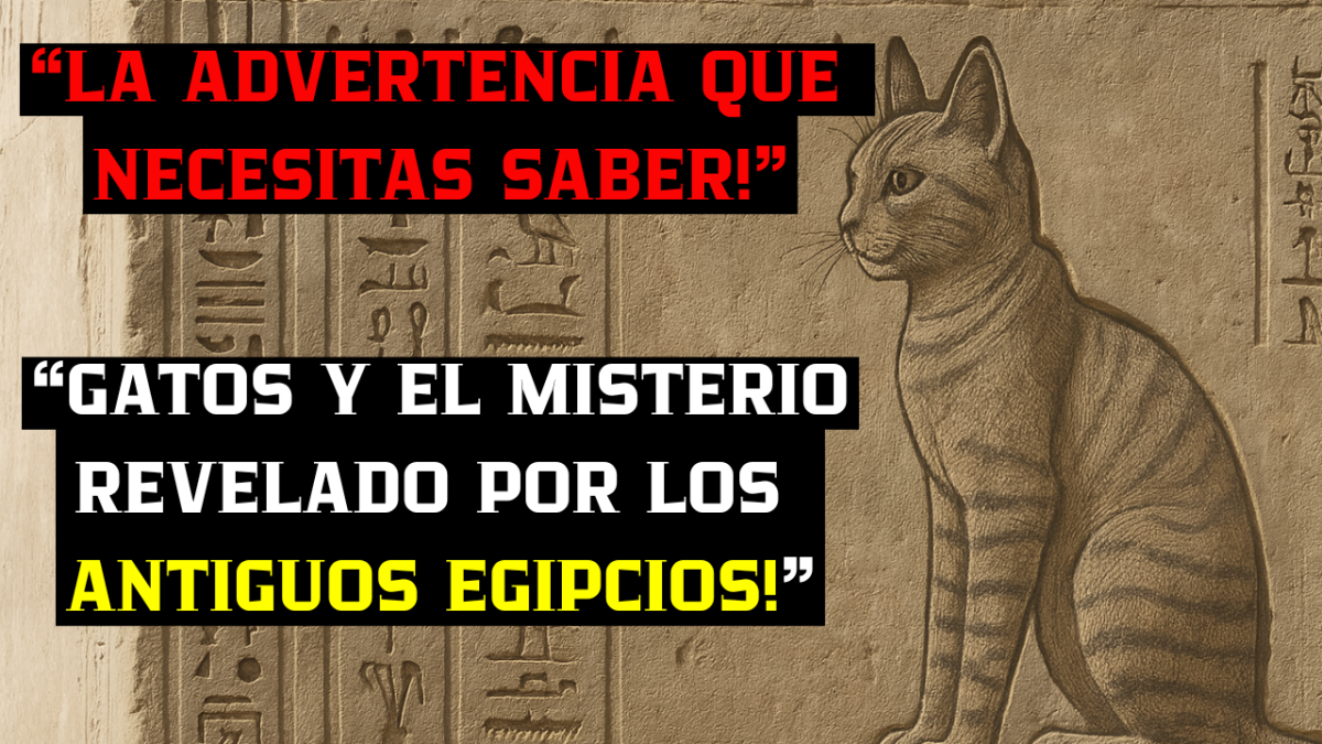 El Poder de los Gatos en Egipto
